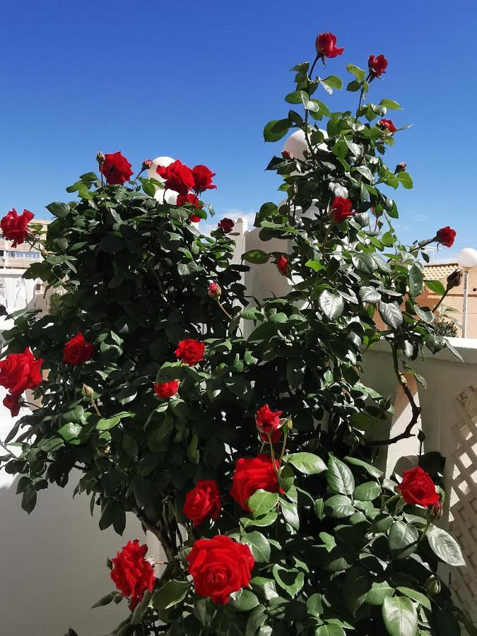 Apartament Costamar Playa Arenales Del Sol Zewnętrze zdjęcie